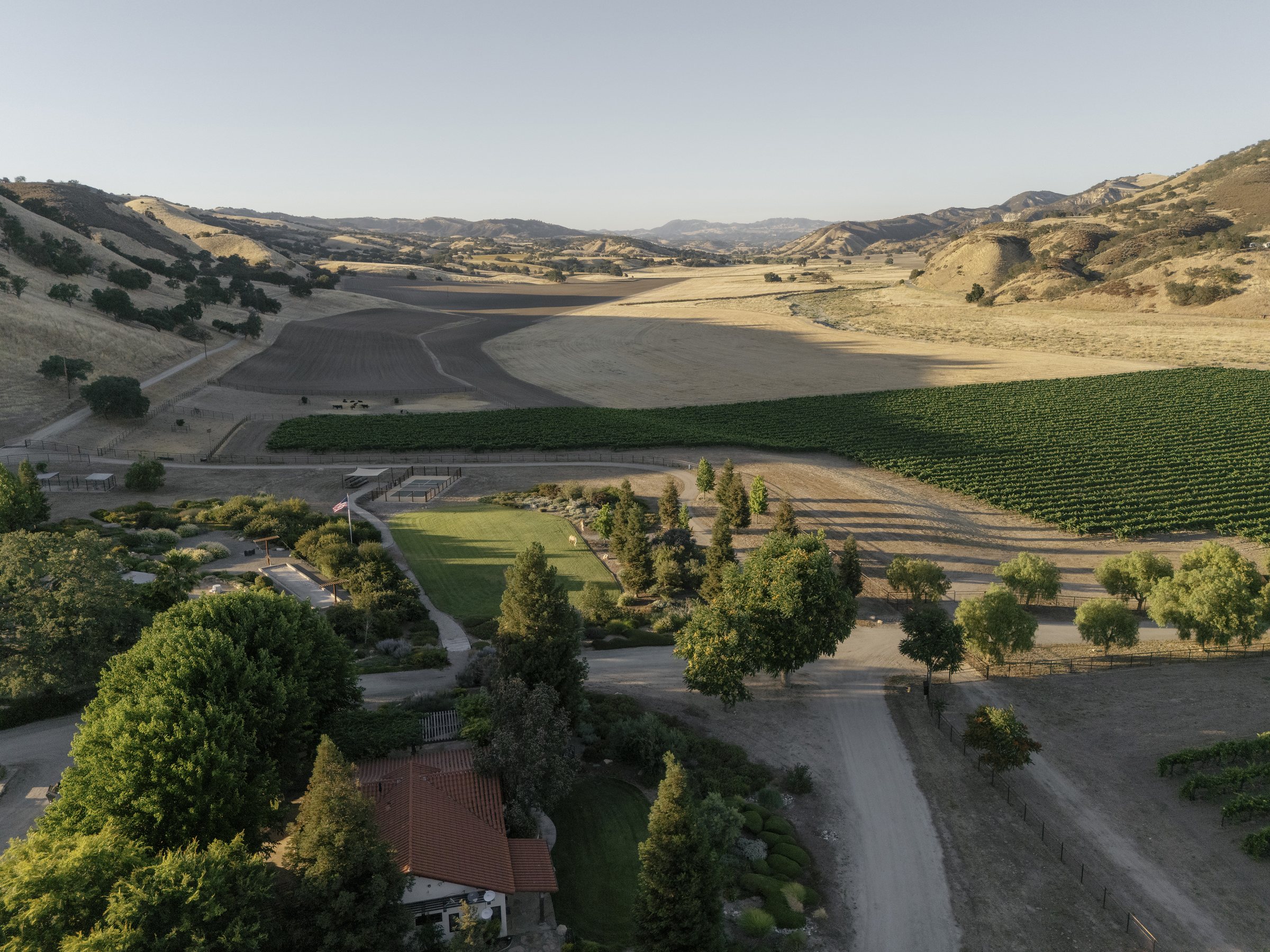 Aerial view of the ranch at golden hour with vineyard rows and oak hills