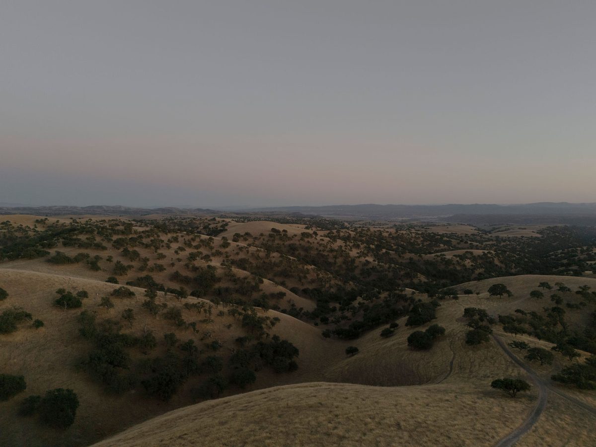 The ranch from the air at golden hour